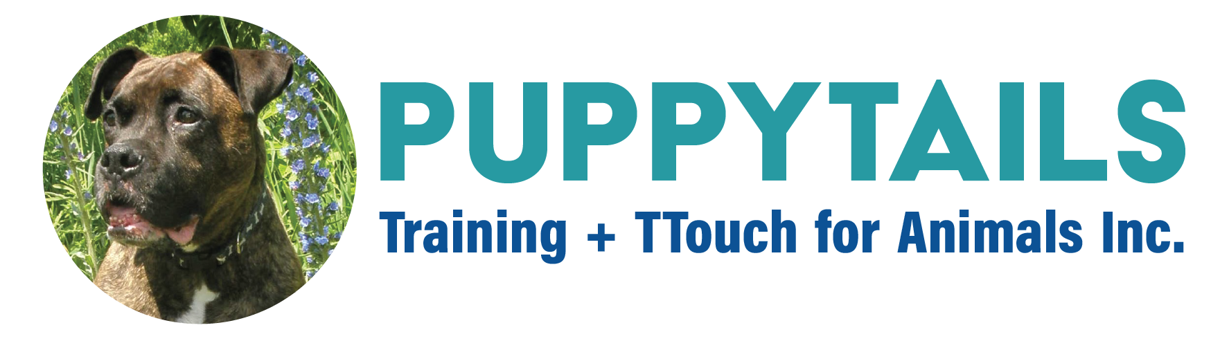 Puppy Tails Dog Training Orangeville, Guelph, GTA